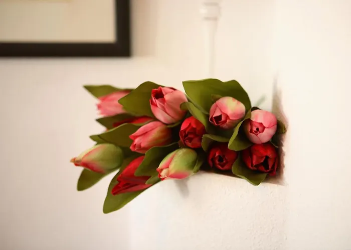 Lackner * ריד אים זילרטל